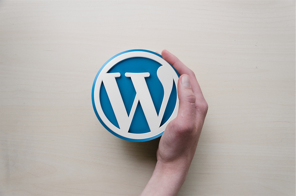 Why WordPress Website Design Is The Ideal Choice For You?